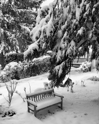 Neige_jardin.jpg