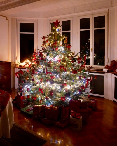 Arbre_de_Noël.JPG